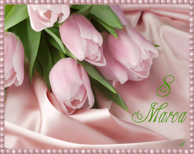 Błyszczące różowe tulipany 8 marca